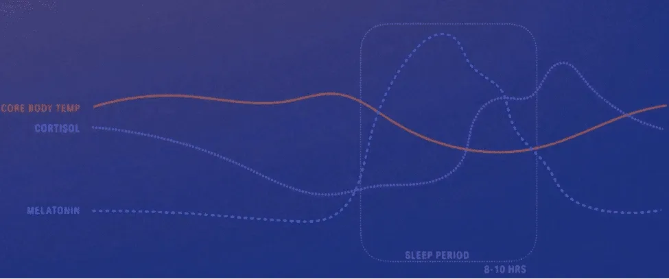 Sleep and Athletes: How to Optimize Sleep to Boost Performance 2 sleep architecture