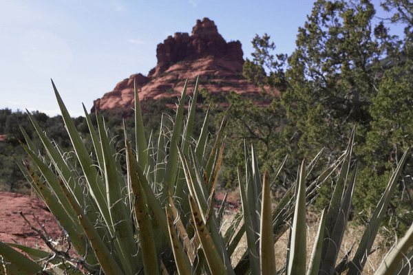Sedona Ultrarunning Camp 6 Image