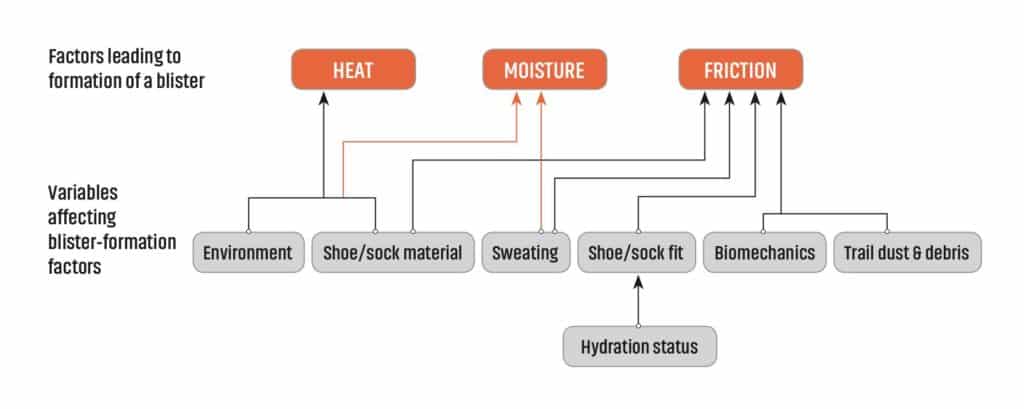 Running Blisters: The Science and Best Practices for Prevention, Treatment, and Healing 2 blisters