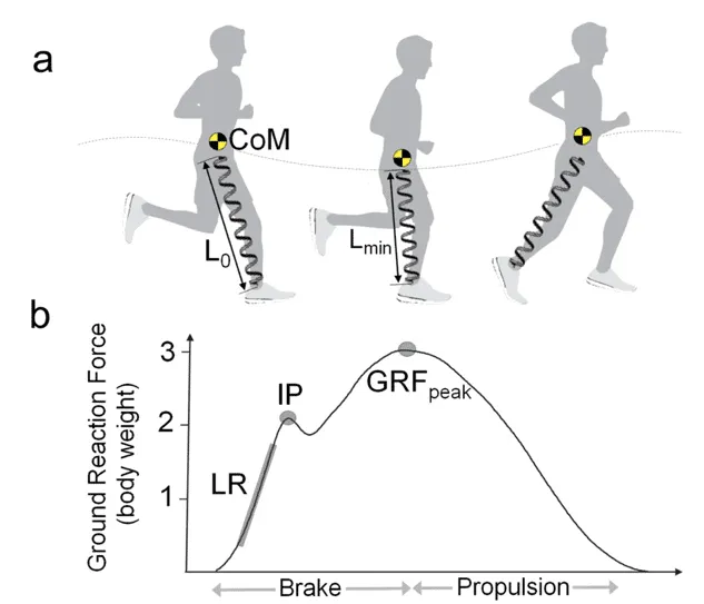 Top 4 Reasons Ultrarunners Should Do More Uphill Running Intervals 3 Koop GRFpic1