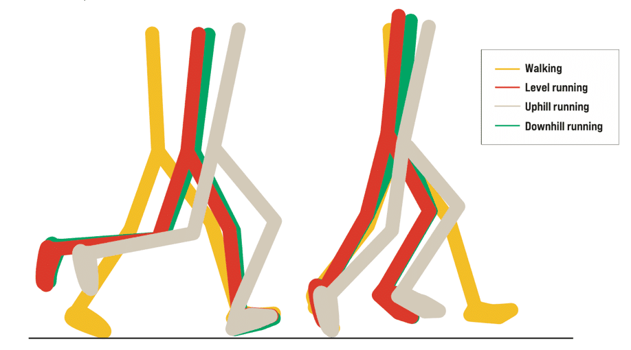 joint angles ultrarunning
