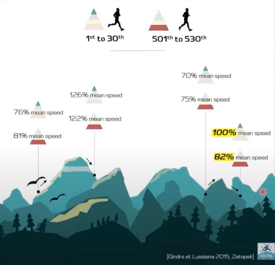 Zapotek graphic