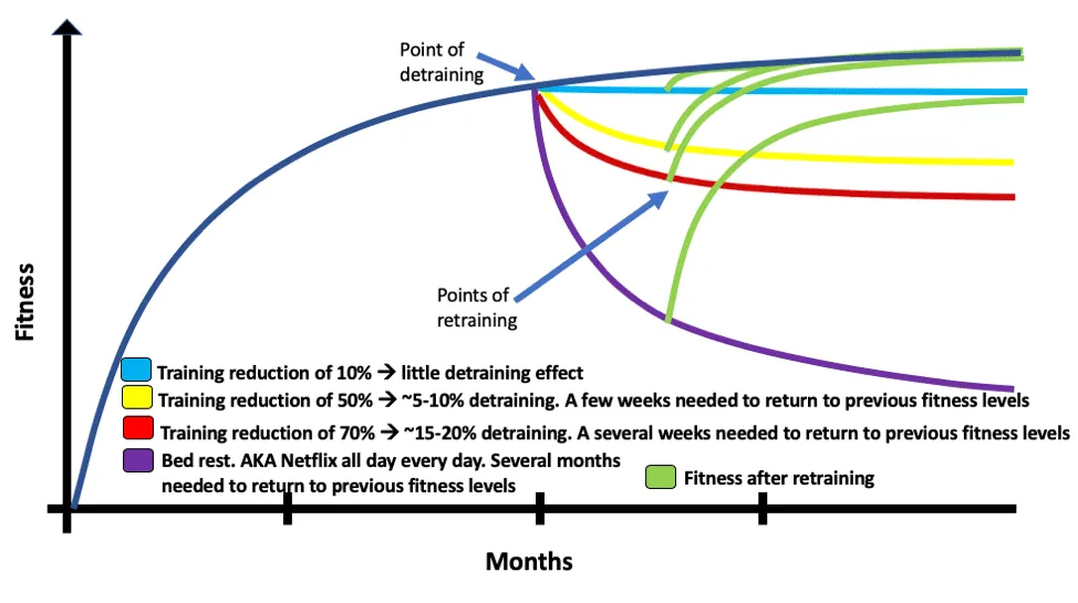 Creating a Successful Off-Season or Transition Phase for Ultrarunners 2 detraining