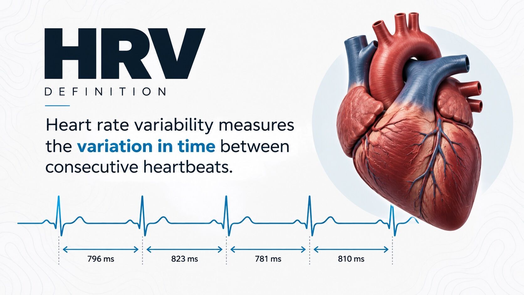 Best Ways Ultrarunners Should Use Heart Rate Variability 2 heart rate variability HRV