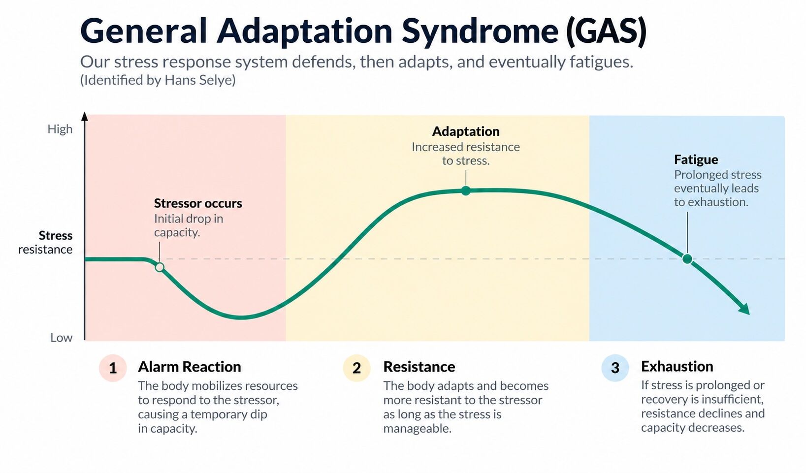 The Stress and Recovery Principle Behind Every Successful Endurance Athlete 2 stress and recovery