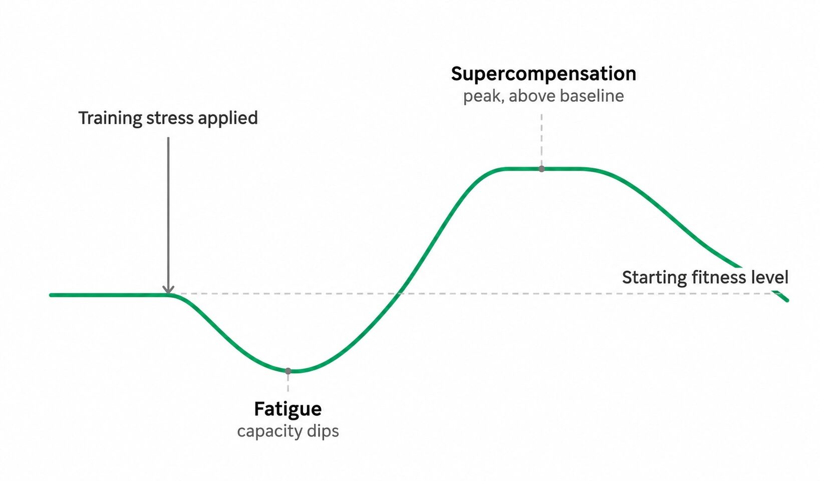 The Stress and Recovery Principle Behind Every Successful Endurance Athlete 3 stress and recovery