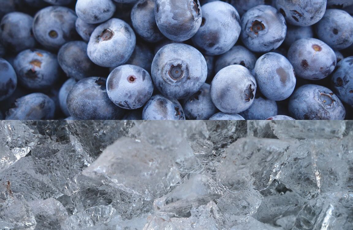 True or False: Ice Baths and Antioxidants Are Great for Recovery 12 blueberries ice
