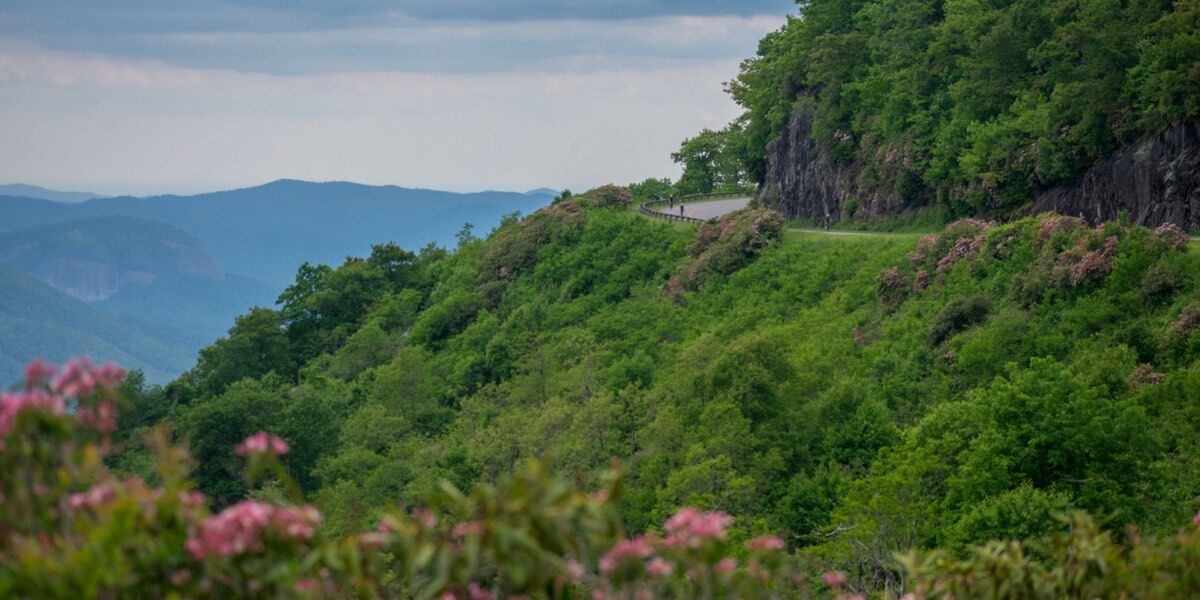 Blue Ridge Parkway Epic 2020 3 Blue Ridge Parkway Cycling