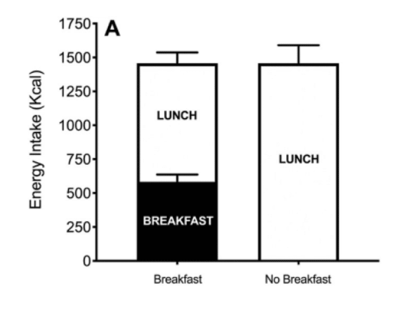 Fasting Doesn't Increase Fat Oxidation or Workout Performance, New Study Shows 2 Wheaties pic1