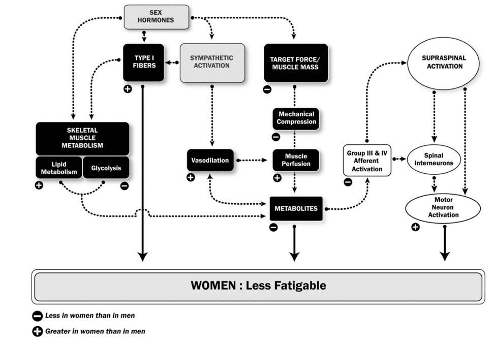 Do Women Have an Inherent Physiological Advantage in Ultrarunning? 5 women and men ultrarunners