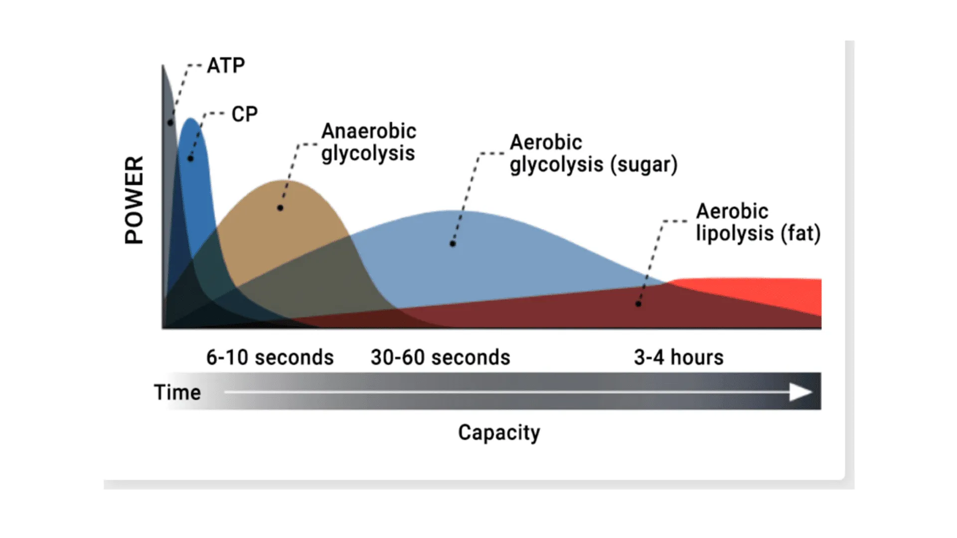 How To Improve Your Cycling FTP (Functional Threshold Power) 3 energy systems