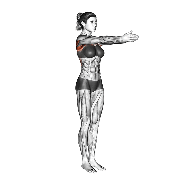 daily activation and mobility - chest opener