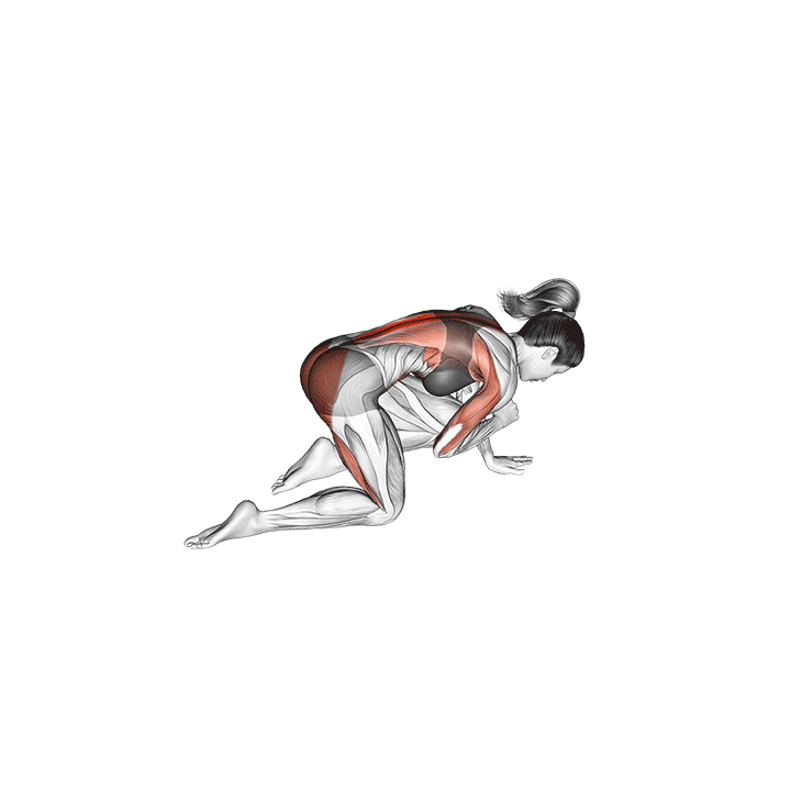 15-Minute Daily Activation and Mobility Workout For Cyclists 12 daily activation and mobility - bird dog