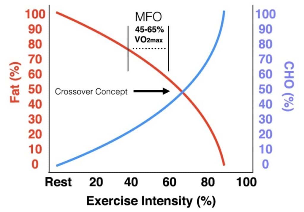 Sugar vs. Fat: The Crossover Concept of Carbohydrate and Fat Utilization During Exercise 2 crossover concept