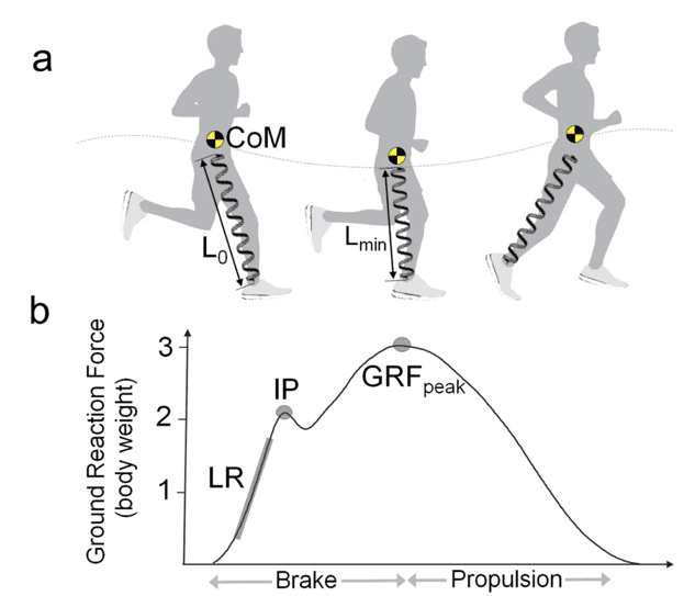 Top 4 Reasons Ultrarunners Should Do More Uphill Running Intervals 3 Koop GRFpic1
