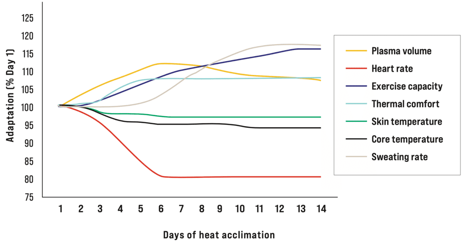 Springtime Heat Challenges: Strategies for Exercising on Isolated Hot Days 2 heat acclimation effects