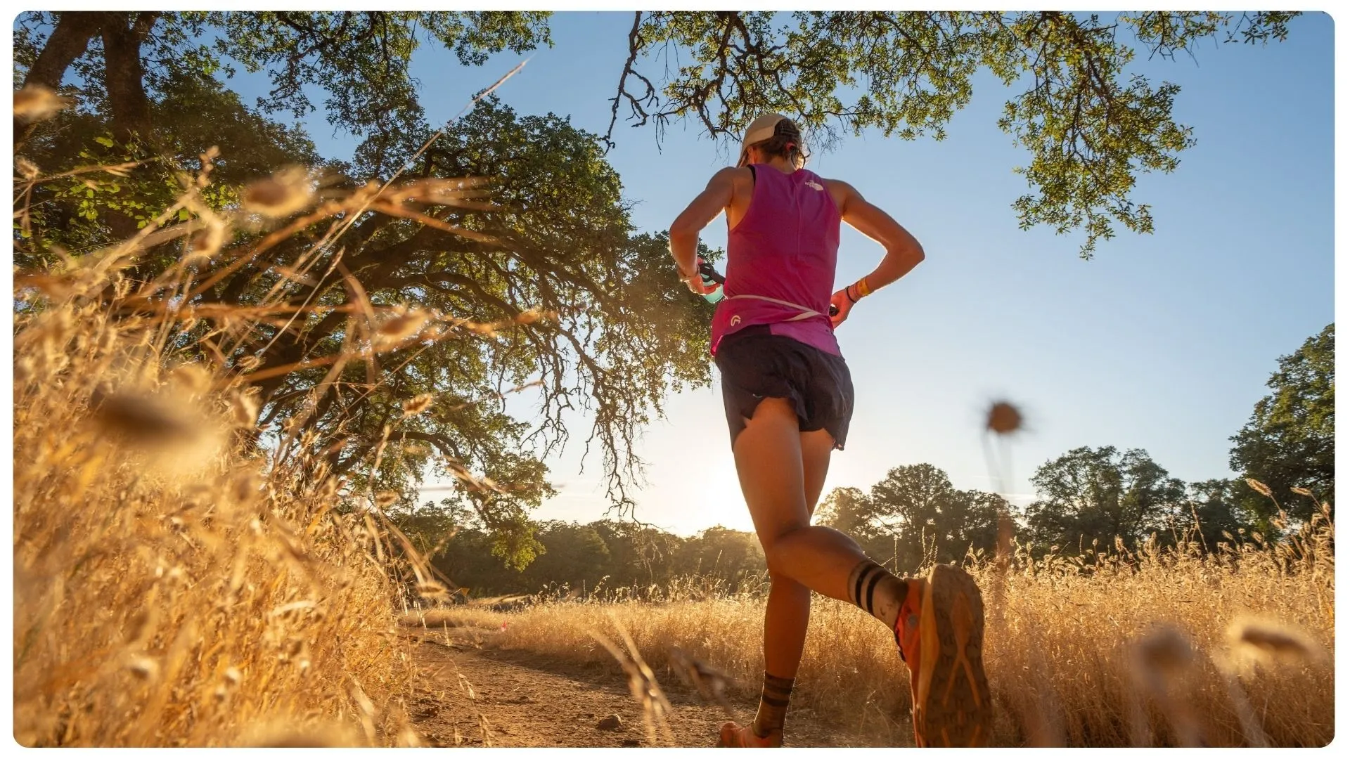 Running Pace and Heart Rate Zone Calculator 1 Image
