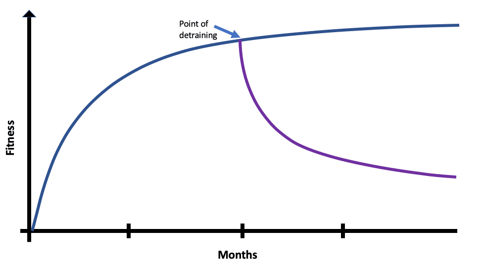 Good News About Detraining: It's not as bad or as fast as you think 3 detraining
