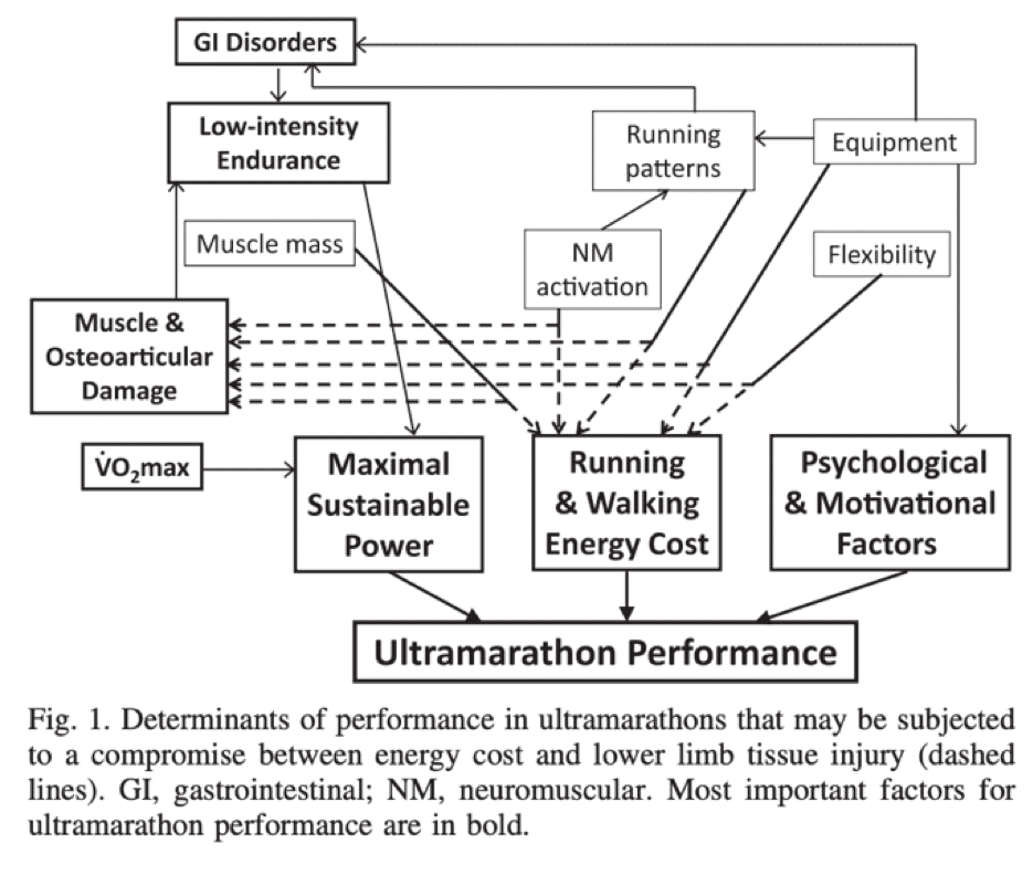 Everything You Wanted to Know About Running Economy in Ultrarunning 3 running economy