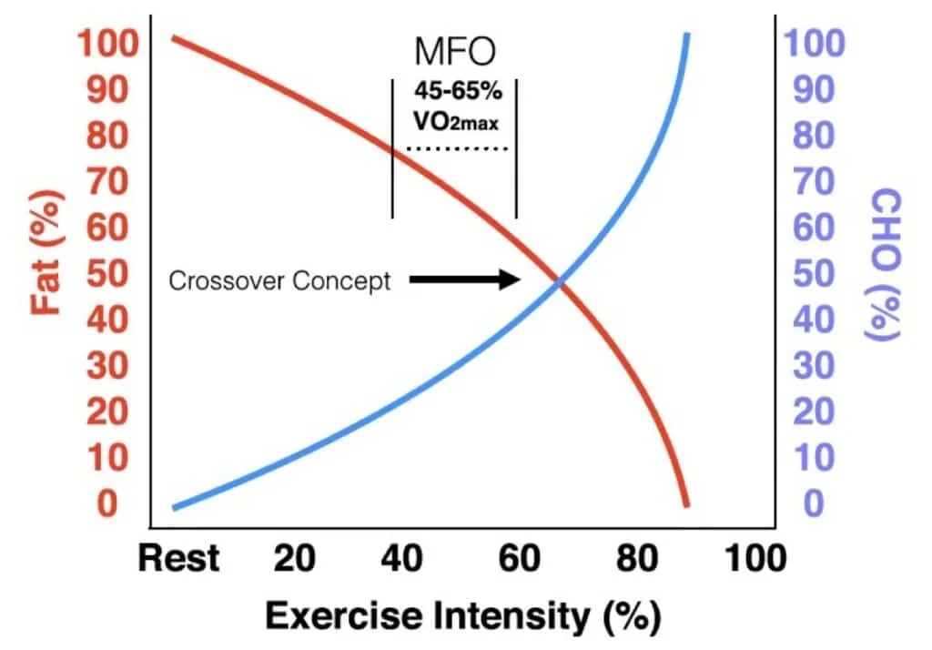 Sugar vs. Fat: The Crossover Concept of Carbohydrate and Fat Utilization During Exercise 2 crossover concept