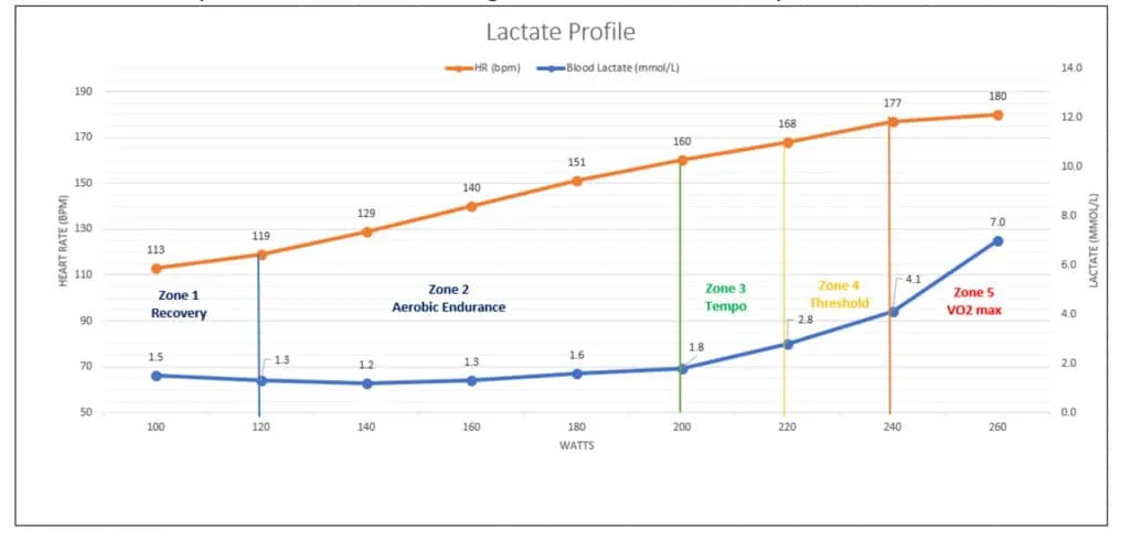 lactate response and training zones