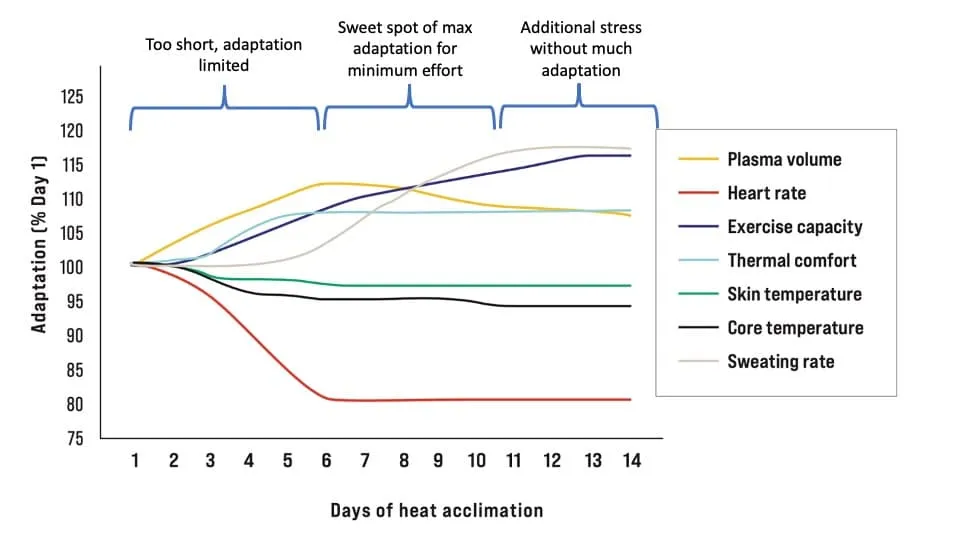 Heat Acclimation: When To Start and How Long It Takes 2 heat acclimation