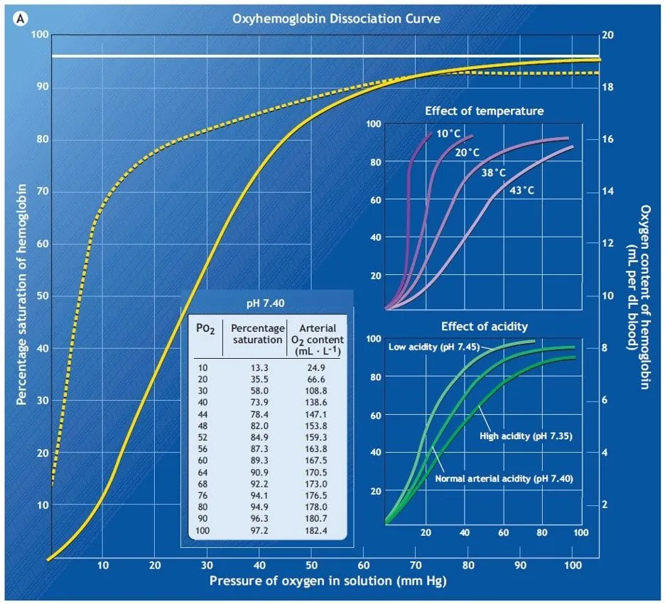 Pulse Oximetry for Athletes: Using Oxygen Saturation as a Training Tool 2 oxygen saturation curve