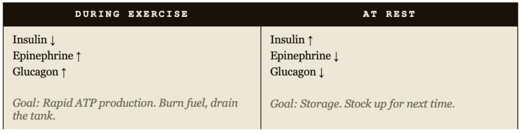 Is High-Carbohydrate Fueling Actually Unhealthy? 2 high-carbohydrate fueling