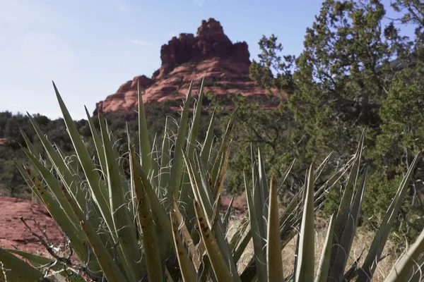 Sedona Ultrarunning Camp 6 Image