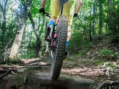 Mountain Bike Skills Clinics 3 MTB Guide 3