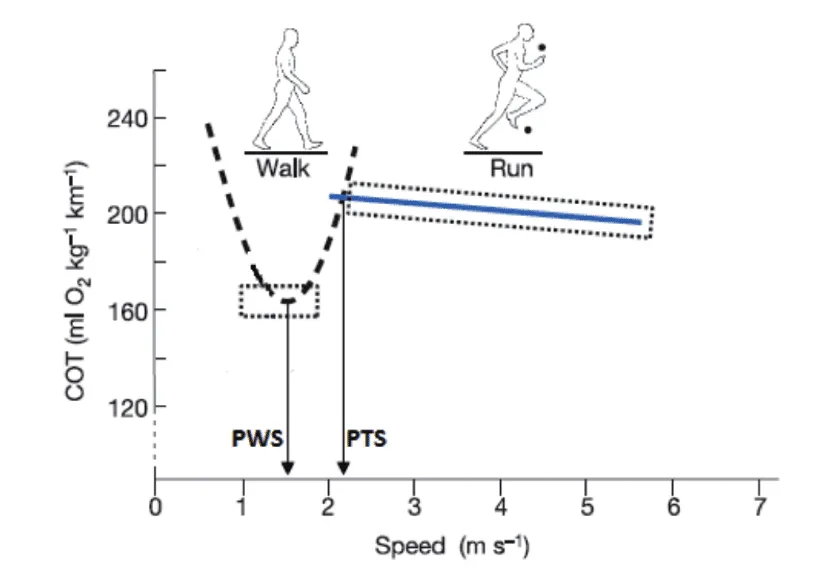 The Science Behind When to Run vs. When to Hike 2 runvshike1
