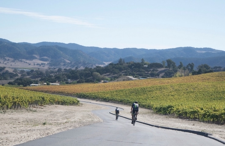 Santa Ynez cycling