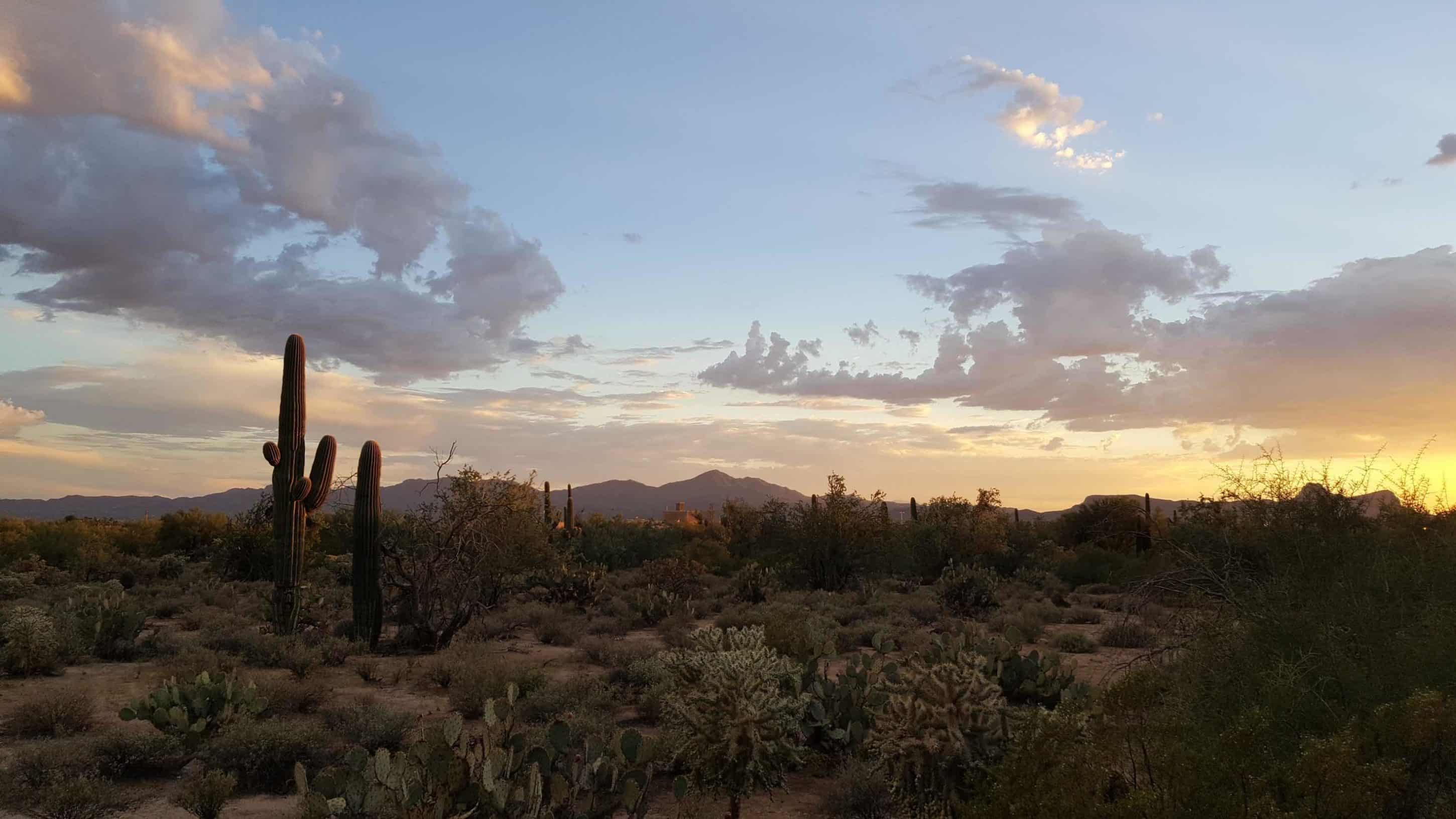 cycling spring training camp Tucson Arizona