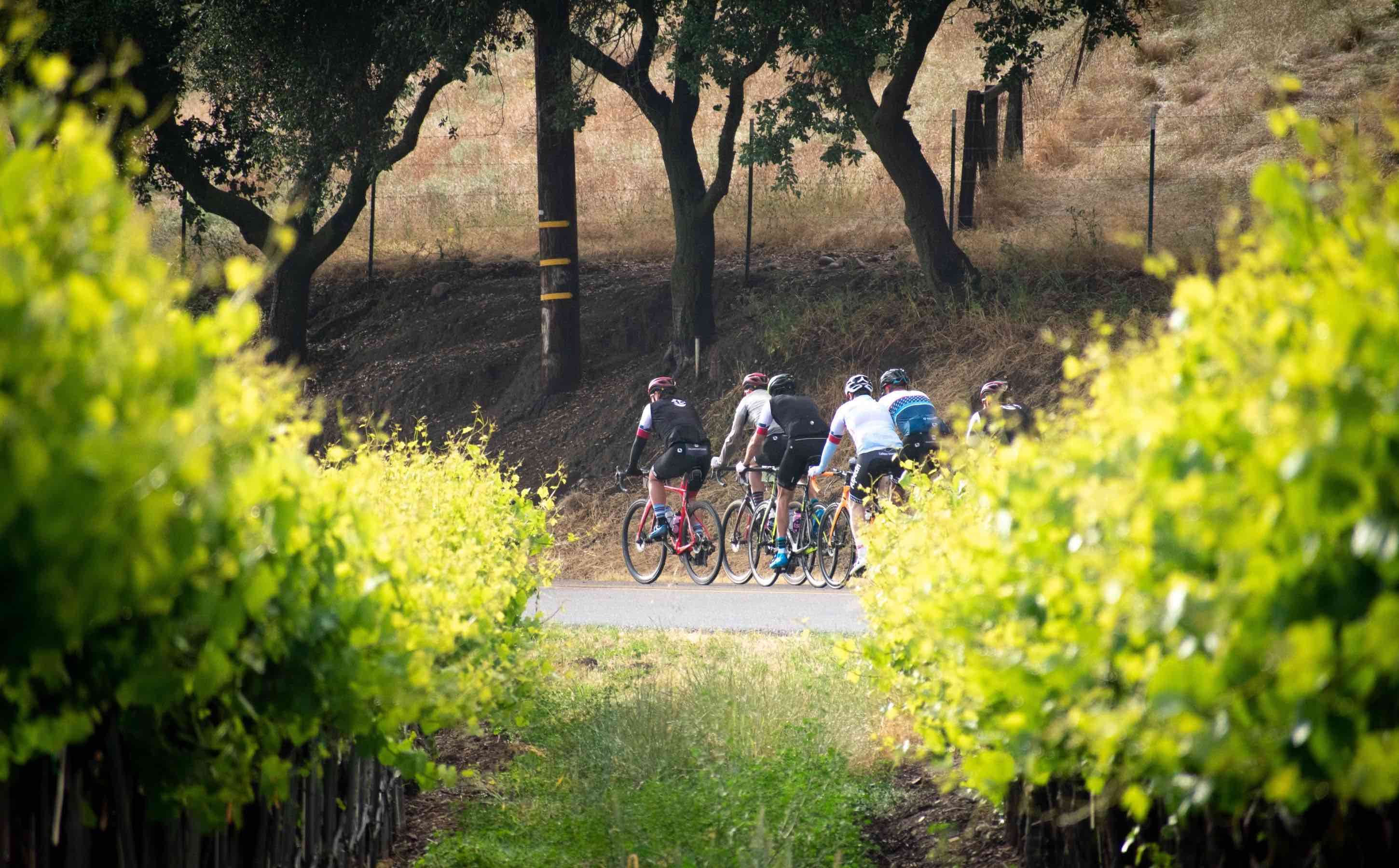 cycling camp
