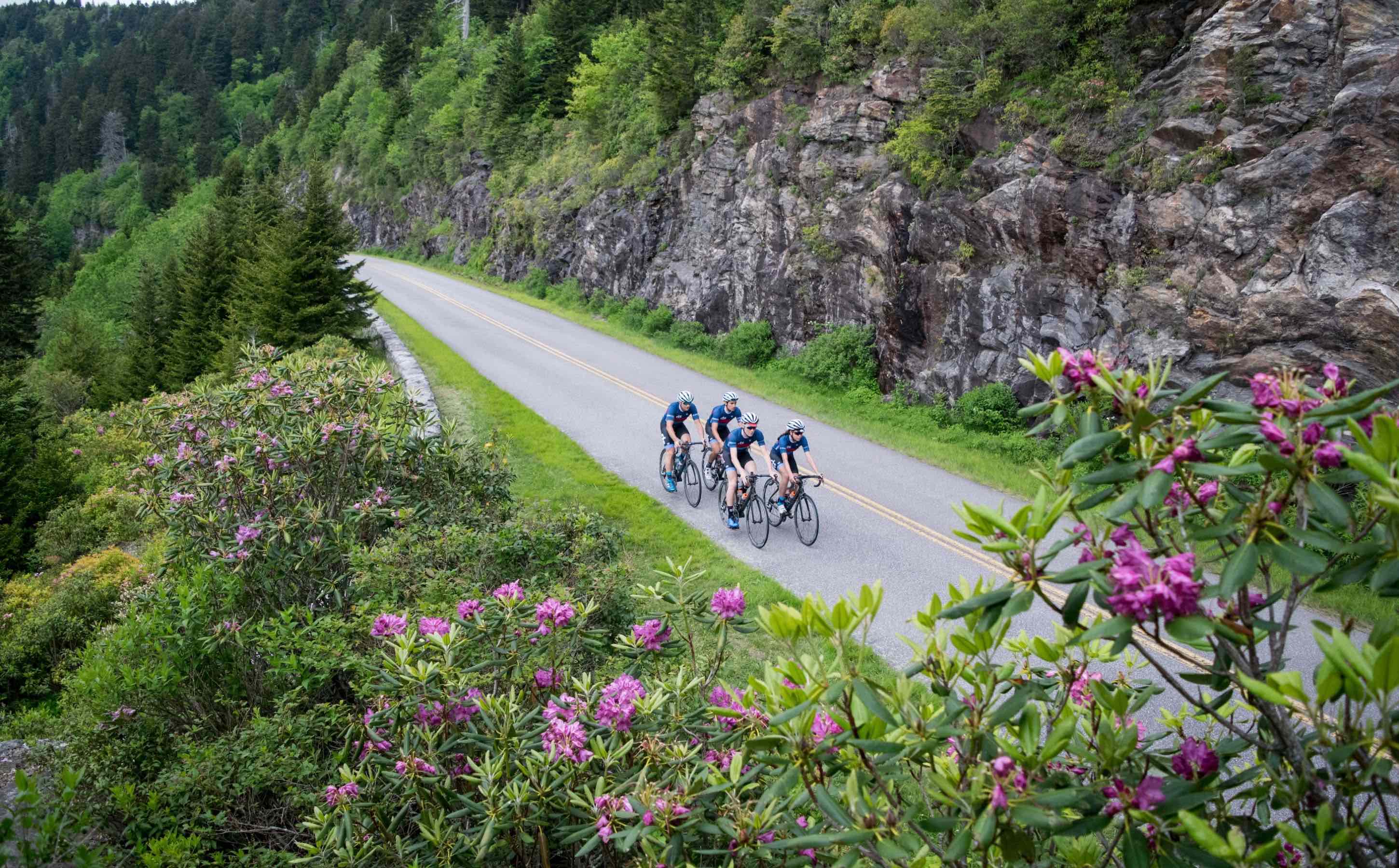 Brevard Road Cycling Camp