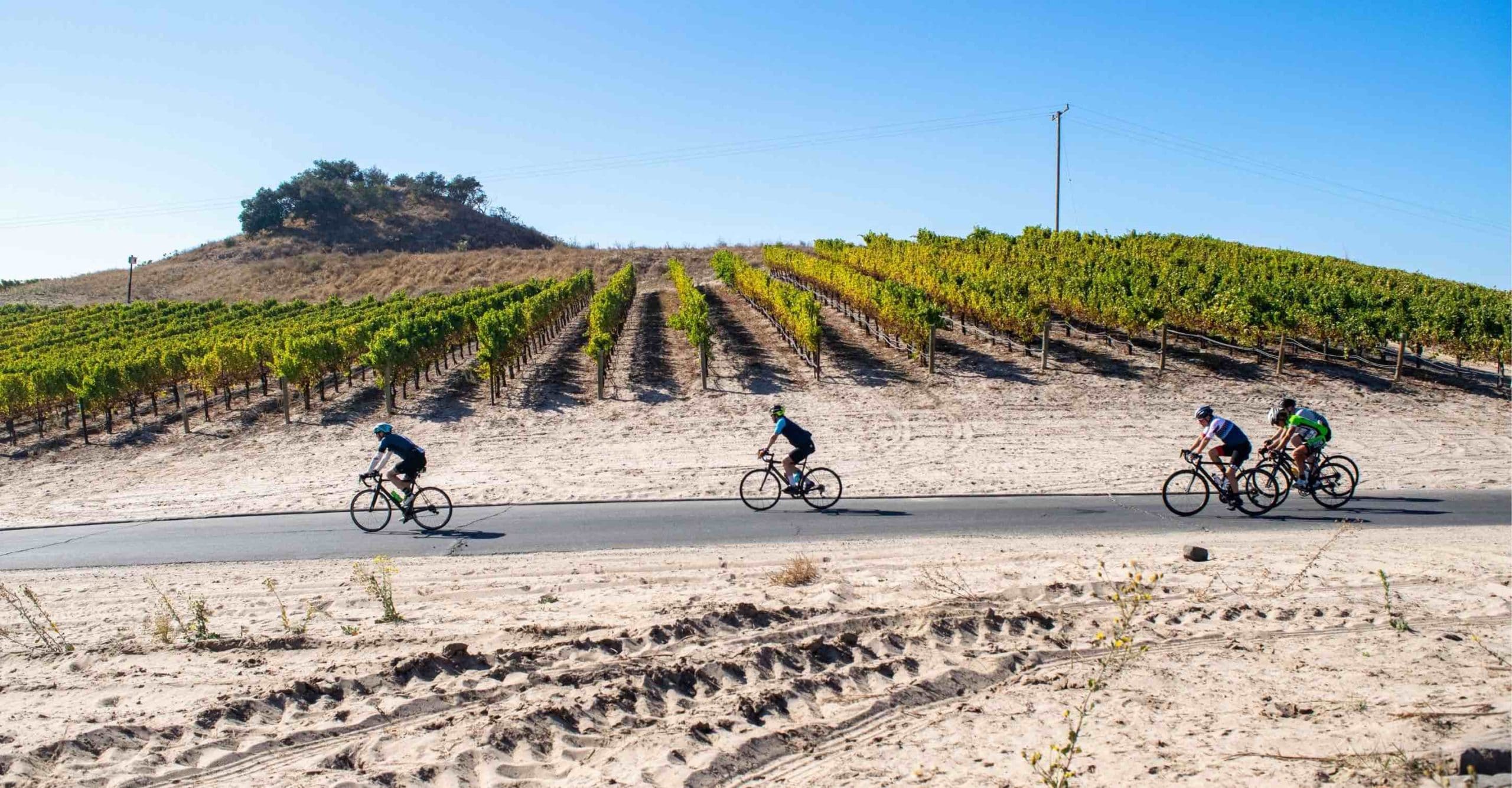 spring training cycling camp