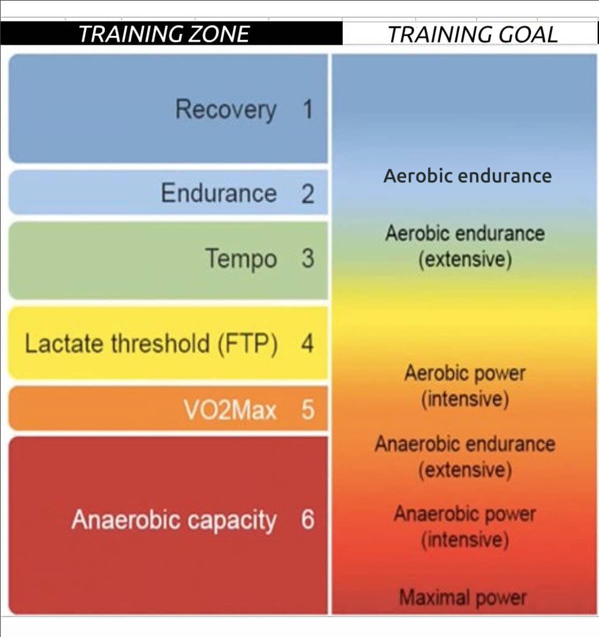 Zone 2 Training to Improve Aerobic Endurance and Fat Burning CTS