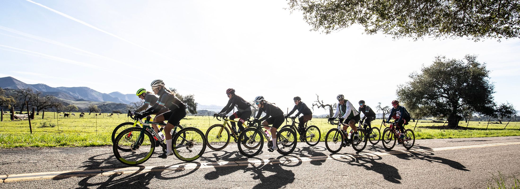 Santa Ynez Spring Training Camp Feat. Solvang Century 1 cycling camp
