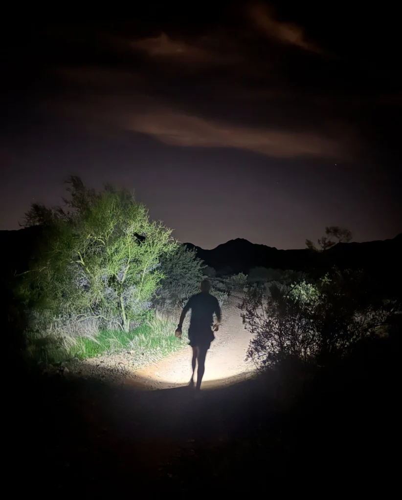 neal palles into the night