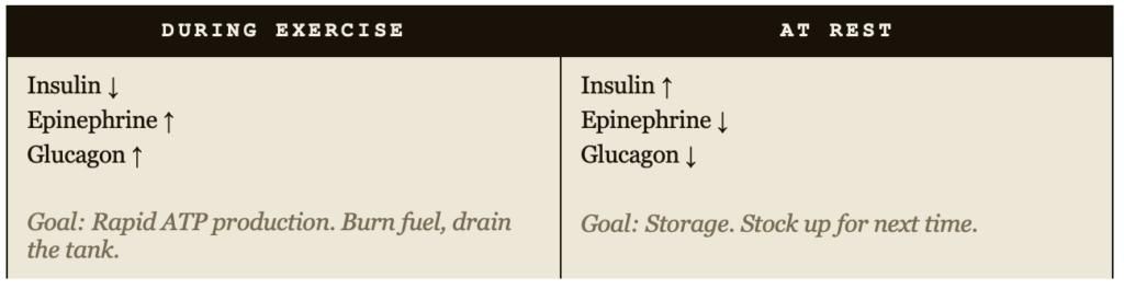 Is High-Carbohydrate Fueling Actually Unhealthy? 2 high-carbohydrate fueling