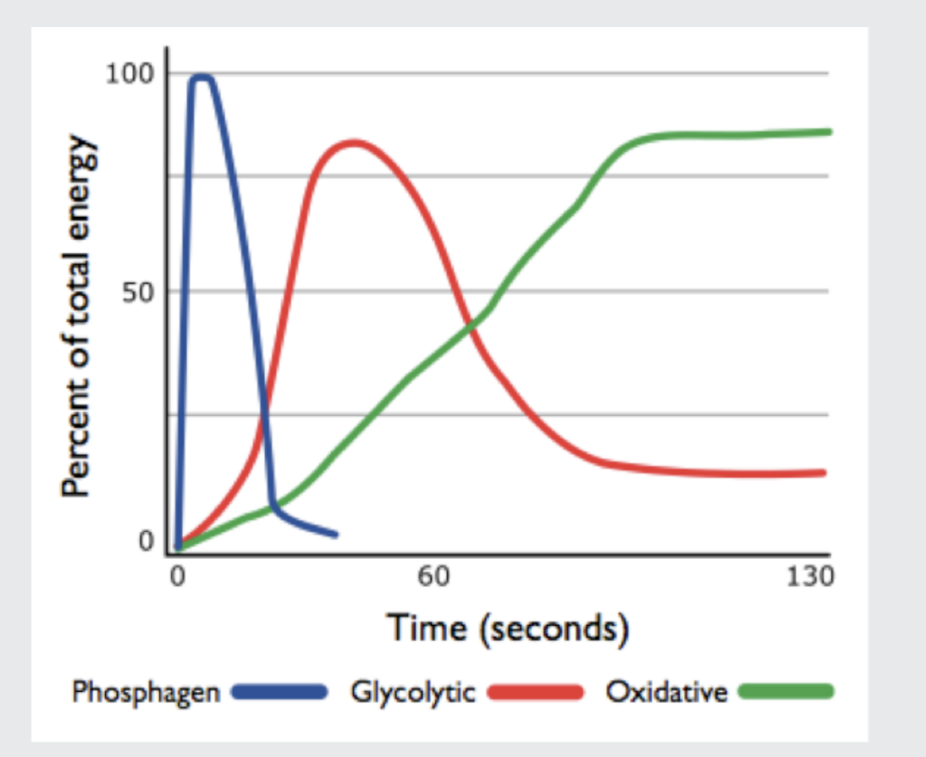 Does FTP Matter For Criterium Racing? 2 energy systems over time